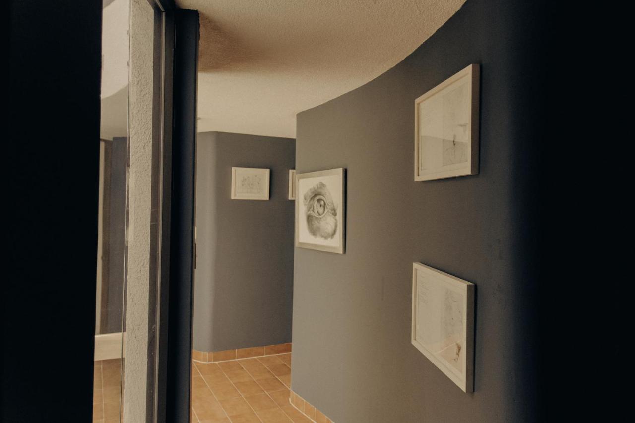Casa Lulu Coyoacan Alvaro Obregon Eksteriør bilde