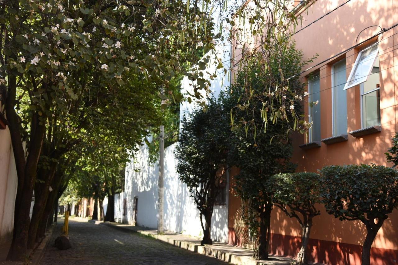 Casa Lulu Coyoacan Alvaro Obregon Eksteriør bilde