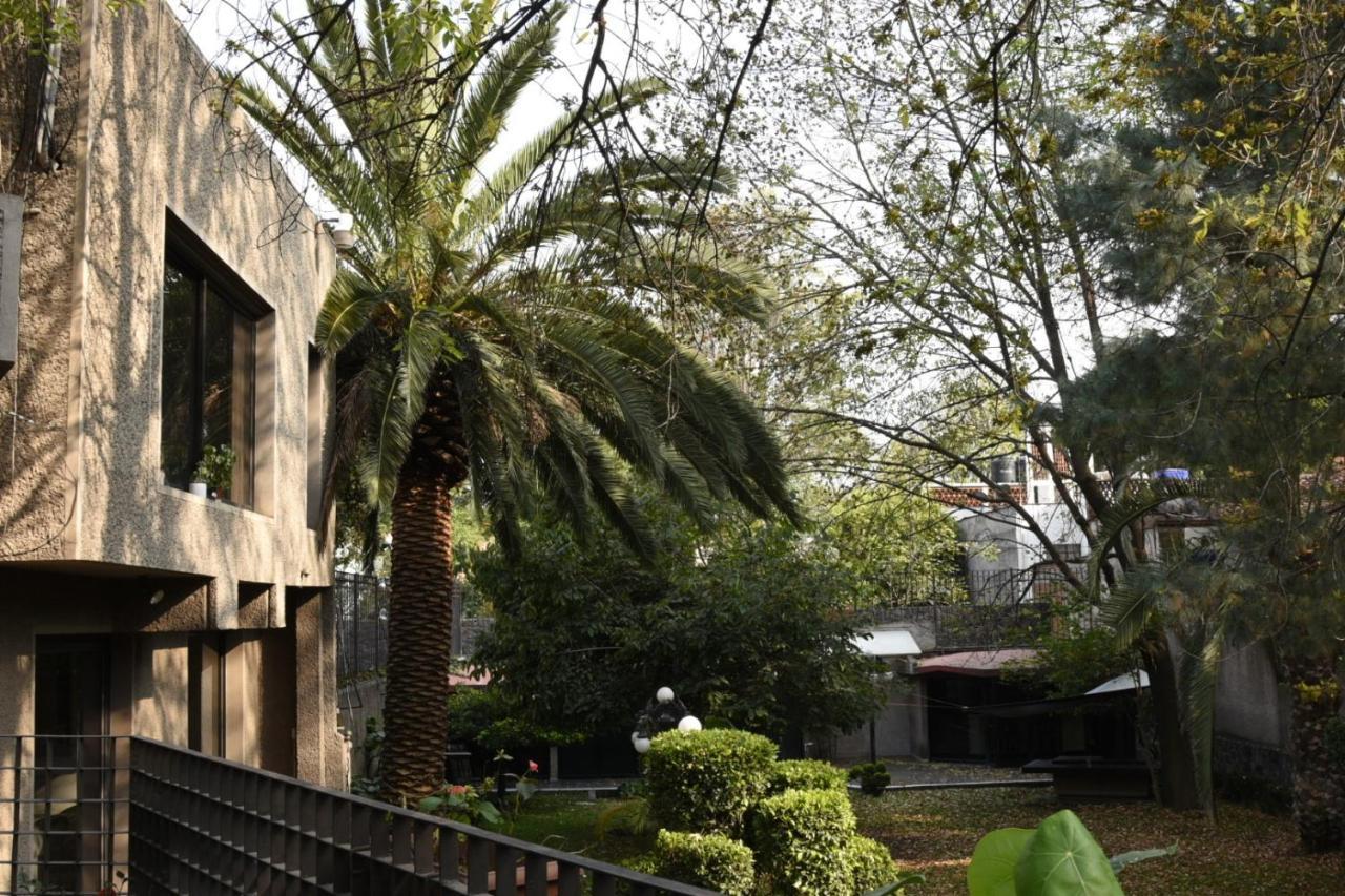 Casa Lulu Coyoacan Alvaro Obregon Eksteriør bilde