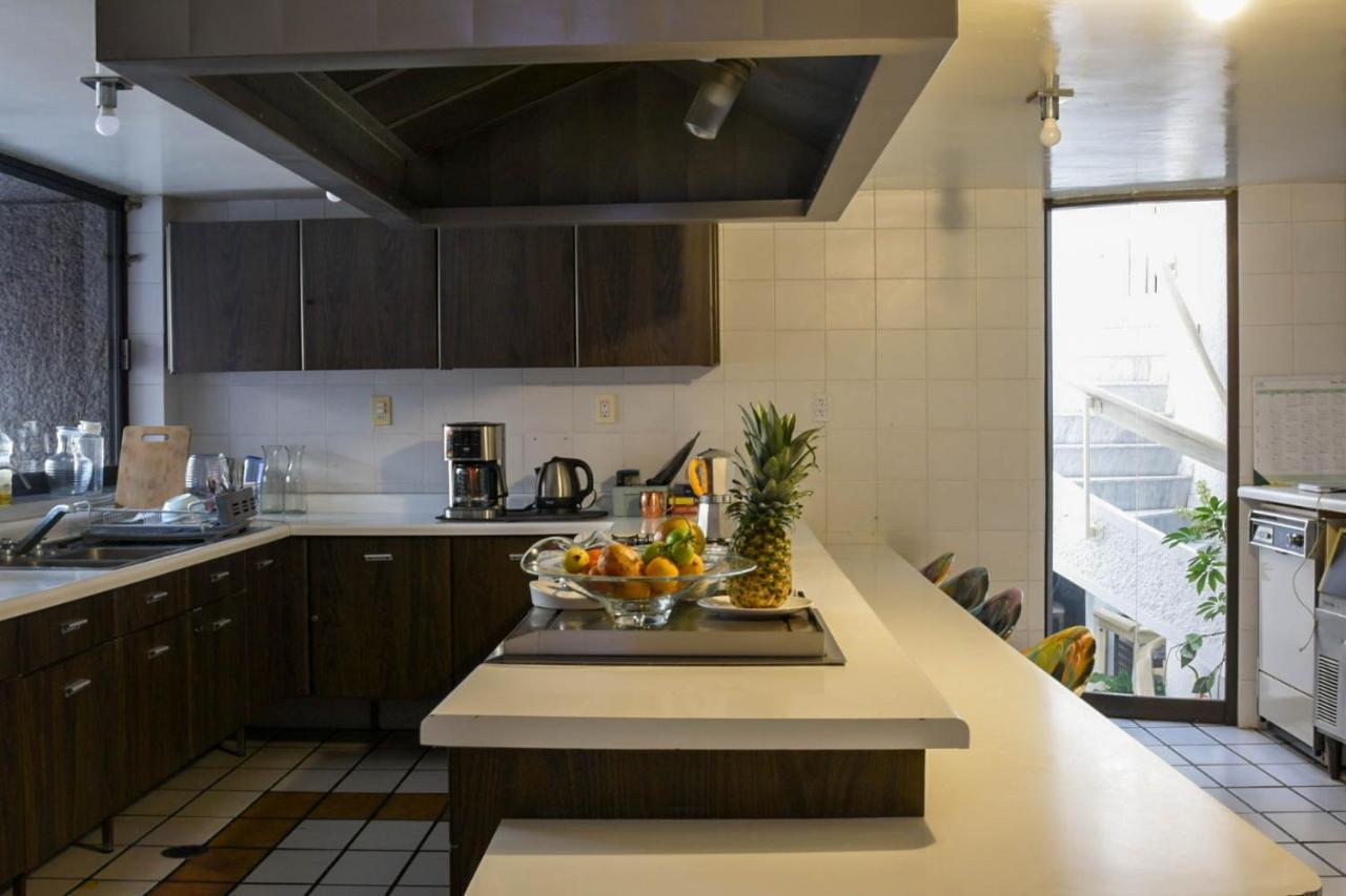 Casa Lulu Coyoacan Alvaro Obregon Eksteriør bilde