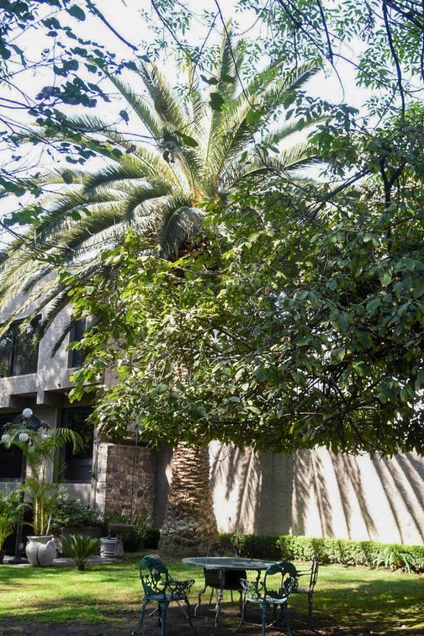 Casa Lulu Coyoacan Alvaro Obregon Eksteriør bilde
