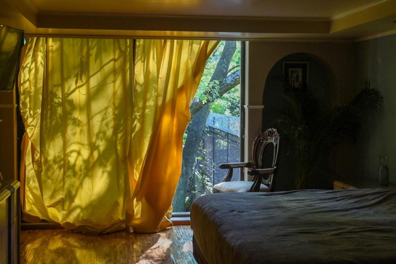 Casa Lulu Coyoacan Alvaro Obregon Eksteriør bilde